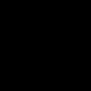 Meet your Posher, Gracie